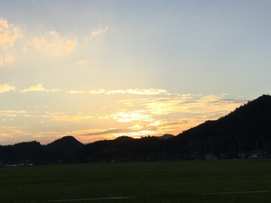 86CCF2FD-FB59-4039-B4A8-B461C6ECBCAA.jpeg