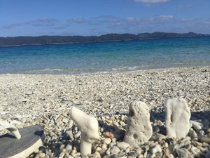 B673C2DA-D34D-4813-8946-CF0D490D2389.jpeg
