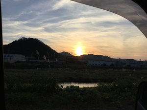 29C867B0-3C63-4FC7-97B1-9D553A55473A.jpeg